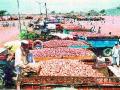 कांदा लिलाव बेमुदत बंद - Marathi News | Onion auction stalled | Latest nashik News at Lokmat.com