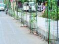 कल्याण-डोंबिवली समांतर रस्त्यावर नवीन रोपे - Marathi News | New plants on the Kalyan-Dombivli parallel road | Latest thane News at Lokmat.com