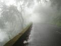 निफाडला राज्यातील सर्वात कमी तापमान - Marathi News | Niphadla lowest temperature in the state | Latest maharashtra News at Lokmat.com
