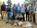 शिकारप्रकरणातील म्होरक्या गजाआड - Marathi News | The leader of the hunting system, Ghazaad | Latest bhandara News at Lokmat.com