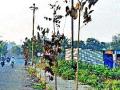 केवळ उद्दिष्टपूर्तीचा अट्टहास - Marathi News | The only survival point | Latest nashik News at Lokmat.com