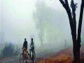 रायगड जिल्ह्यातील तापमानात घसरण - Marathi News | Falling temperature in Raigad district | Latest raigad News at Lokmat.com