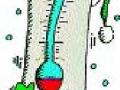 राज्यात नाशिक सर्वाधिक थंड - Marathi News | Nashik: The coldest winter in the state | Latest nashik News at Lokmat.com
