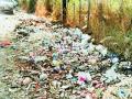भोरच्या परिसरात निर्माण होताहेत कचराकुंड्या! - Marathi News | The garbage is created in the area around Bhor. | Latest pune News at Lokmat.com