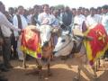 शेतकरीच देशाचा खरा आधारस्तंभ! - Marathi News | Farmer is the true pillar of the country! | Latest chandrapur News at Lokmat.com