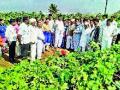 वादळामुळे चार एकर द्राक्षबाग भुईसपाट - Marathi News | Four acres of grape grapes due to the storm | Latest nashik News at Lokmat.com