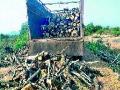 आंबेवाडी येथे बेकायदा बेसुमार वृक्षतोड - Marathi News | Illegal tree trunks at Ambevadi | Latest nashik News at Lokmat.com