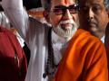 शिवसेनाप्रमुख बाळासाहेब ठाकरे जयंती - Marathi News | Shiv Sena Chief Balasaheb Thackeray Jayanti | Latest maharashtra News at Lokmat.com