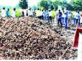 शहाबागला माणुसकी आली धावून! - Marathi News | Shahabag humanity has come! | Latest satara News at Lokmat.com