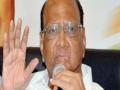 काँग्रेस आणि राष्ट्रवादीने एकत्र येणे हिताचे - शरद पवार - Marathi News | Congress and NCP should come together - Sharad Pawar | Latest maharashtra News at Lokmat.com
