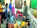 चंद्रज्योतीच्या बिया खाल्ल्याने नऊ विद्यार्थ्यांना विषबाधा - Marathi News | Nine students poisoned by eating Chandramukhi seeds | Latest maharashtra News at Lokmat.com