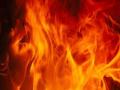 पतीनेच पत्नीला जिवंत जाळले - Marathi News | The husband burnt his wife alive | Latest maharashtra News at Lokmat.com