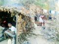 झोपड्यांमध्ये संसार.. - Marathi News | World in huts | Latest chandrapur News at Lokmat.com