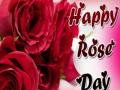 VALENTINE WEEK : हॅप्पी रोझ डे - Marathi News | VALENTINE WEEK: Happy Rose Day | Latest maharashtra News at Lokmat.com