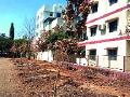 वृक्षलागवडीचे निव्वळ सोपस्कार - Marathi News | Net worth of trees | Latest nashik News at Lokmat.com