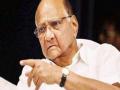 ...म्हणून मुंबईत राष्ट्रवादी कमी पडते - शरद पवार - Marathi News | ... NCP's lacking in Mumbai - Sharad Pawar | Latest maharashtra News at Lokmat.com