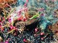काढणीला आलेला कांदा जाळला - Marathi News | Burned onion harvested | Latest nashik News at Lokmat.com