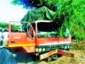 अपघातात दोन महिला ठार - Marathi News | Two women killed in accident | Latest nashik News at Lokmat.com