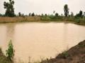 शेततळय़ांच्या उद्दिष्टपूर्तीसाठी प्रशासनाचा आटापिटा - Marathi News | Administration administration to meet the needs of the farmers | Latest vashim News at Lokmat.com