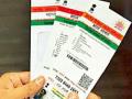 ‘आधार लिंक’विना अडली शिष्यवृत्ती - Marathi News | Adly scholarship without 'Aadhar link' | Latest yavatmal News at Lokmat.com