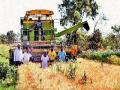 खोर परिसरात गहूकाढणीला वेग - Marathi News | Wheat speed in the Khor area | Latest pimpri-chinchwad News at Lokmat.com