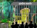 नव्या महापौरांचे निवासस्थान राणीच्या बागेत का ? - Marathi News | What is the residence of the new mayor in the garden of Queen? | Latest maharashtra News at Lokmat.com