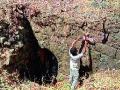 बल्लाळेश्वर येथे किल्ले सरसगडाचे संवर्धन - Marathi News | Culture of Sarsagad in Ballaleshwar | Latest nashik News at Lokmat.com