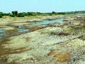 नीरा-भीमा नद्या पडल्या कोरड्या - Marathi News | Neera-Bhima rivers have dried | Latest maharashtra News at Lokmat.com