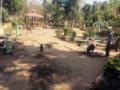 बागेत साकारतेय ‘ग्रीन जीम’ - Marathi News | 'Green Gym' in the garden | Latest gondia News at Lokmat.com