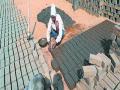 प्रदूषण मंडळाला ४६ वीटभट्टय़ांचीच माहिती - Marathi News | The pollution board has 46 briquettes only | Latest akola News at Lokmat.com