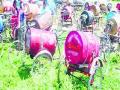 बचत गटांना मिळणारे धान्य, रॉकेल परवाने दडपले! - Marathi News | The food grains, kerosene licenses suppressed! | Latest akola News at Lokmat.com