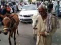 गाढवांना ओढायला लावली 25 लाखांची कार - Marathi News | A car of 25 lakhs was thrown into the donkeys | Latest national News at Lokmat.com