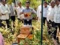 पाच दिवसीय मधमाशी पालन कार्यशाळा - Marathi News | Five-Day Beekeeping Workshop | Latest gondia News at Lokmat.com