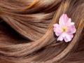 सुंदर केसांचं नैसर्गिक गुपित - Marathi News | The natural secret of beautiful hair | Latest oxygen News at Lokmat.com