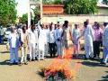 शेतकरी संघटनेने केली तुरीची होळी - Marathi News | Farmer's organization has celebrated Holi | Latest buldhana News at Lokmat.com