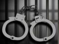 म्हैसाळ भ्रूण हत्याप्रकरणी आणखी एकाला अटक - Marathi News | Another person was arrested in the murder of a fetus embryo | Latest sangli News at Lokmat.com