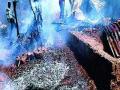 दोन घरे जळून खाक - Marathi News | Two houses burnt | Latest buldhana News at Lokmat.com
