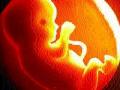 गर्भलिंग चाचणीविषयीचे आदेश धाब्यावर - Marathi News | The order for the pregnancy test is overdue | Latest navi-mumbai News at Lokmat.com