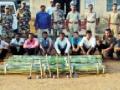 व्याघ्र प्रकल्पातील बांबू तोडणाऱ्या नऊ जणांना अटक - Marathi News | Nine people who broke the bamboo plant in the Tiger Reserve were arrested | Latest gondia News at Lokmat.com