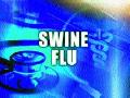 नऊ वर्षांत स्वाइन फ्लूचे २१७ बळी - Marathi News | 217 victims of swine flu in nine years | Latest nashik News at Lokmat.com