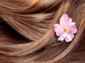 सुंदर केसांचं नैसर्गिक गुपित - Marathi News | The natural secret of beautiful hair | Latest fashion News at Lokmat.com