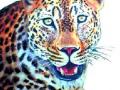 चेहडी येथे बिबट्याच्या हल्ल्यात वासरी ठार - Marathi News | Vaasari killed in leopard attack in Chehdi | Latest nashik News at Lokmat.com