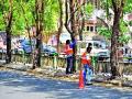 संरक्षक जाळ्यांचा फास सुटला झाडे सुरक्षित : पालिक प्रशासनाला आली जाग - Marathi News | Protecting the trees from the defensive network: The municipal administration came to power | Latest nashik News at Lokmat.com