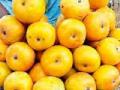 आंब्यांचा ‘केमिकल’ लोचा - Marathi News | The 'Chemical' of the Mango | Latest yavatmal News at Lokmat.com