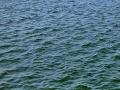 वैतरणेचे पाणी गोदावरीत? - Marathi News | Vaantana water on the wall? | Latest maharashtra News at Lokmat.com