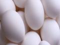 अंड्यावर वाढत्या तापमानाचा परिणाम - Marathi News | The result of the rising temperature of the egg | Latest maharashtra News at Lokmat.com
