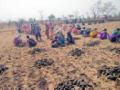 पाणीदार गावासाठी सरसावले हात - Marathi News | Hands handy for a watery village | Latest vardha News at Lokmat.com