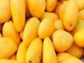 सावधान ! तुम्ही आंबे खात आहात... - Marathi News | Be careful! You're eating mangoes ... | Latest maharashtra News at Lokmat.com