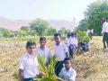 जिद्द व आवडीच्या जोरावर जगवली चाळीस झाडे - Marathi News | Forty plants survived with the power of passion and love | Latest sangli News at Lokmat.com
