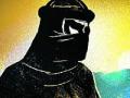 ‘आयएसआय’ने उघडून दिला आफताबला ईमेल - Marathi News | 'ISI' opens email to Aftab | Latest maharashtra News at Lokmat.com